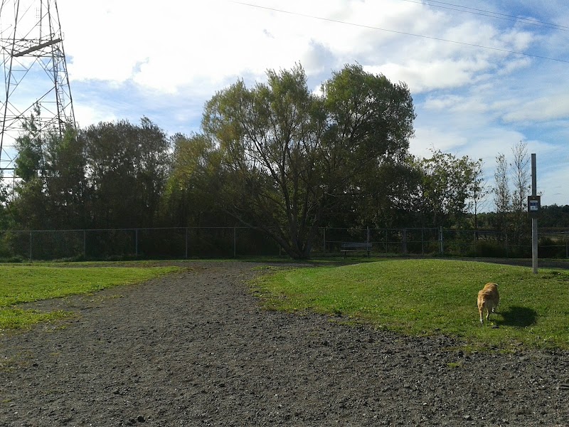 Isaac's Run Dog Park dog park