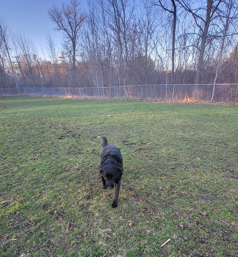 Washago Dog Park dog park