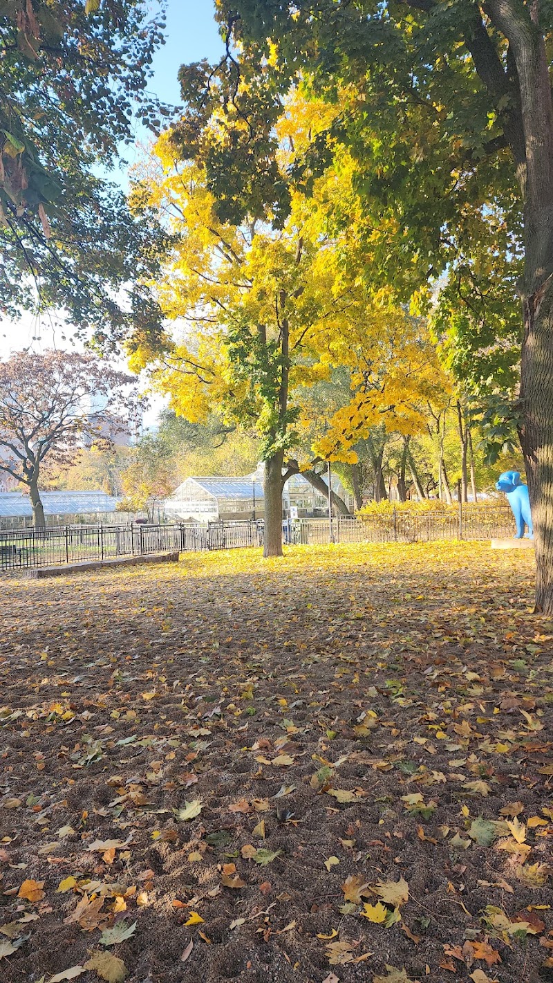 Allan Gardens Dog Park dog park