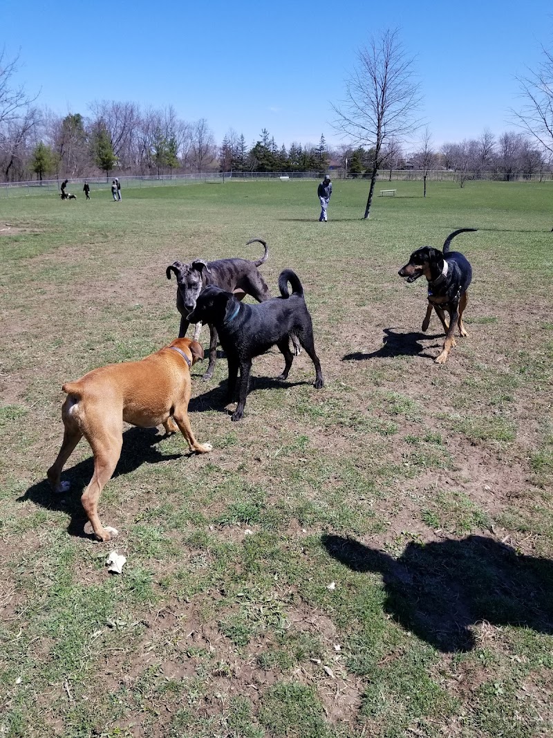 Burgoyne Woods Dog Park dog park
