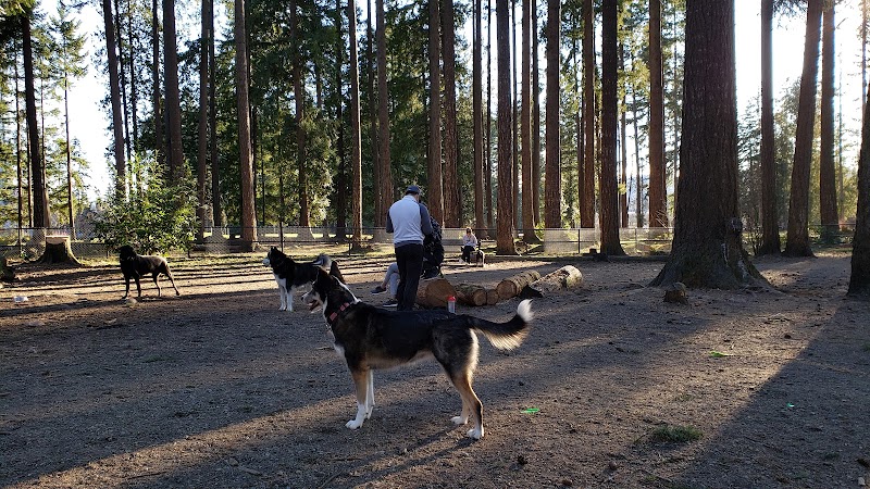 Glen Park Off-Leash Dog Area dog park