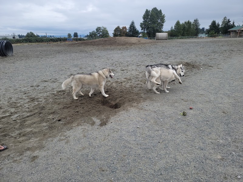 Beban Park Off-Leash Dog Park dog park