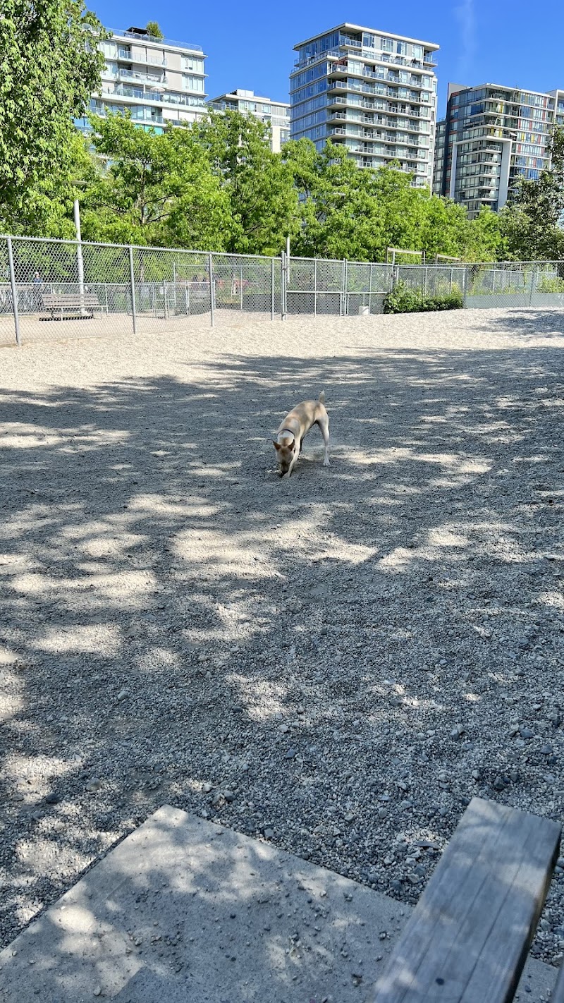 Olympic Village Off-Leash Dog Park — mud-free dog park in Vancouver