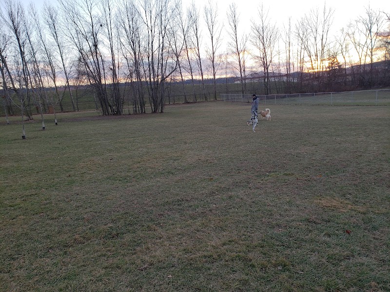 Steve McDonnell Leash Free Dog Park dog park