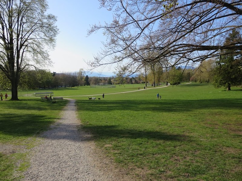 Quilchena Park dog park