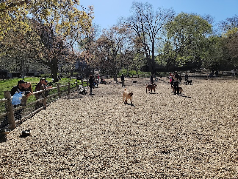 Ramsden Dog Park dog park