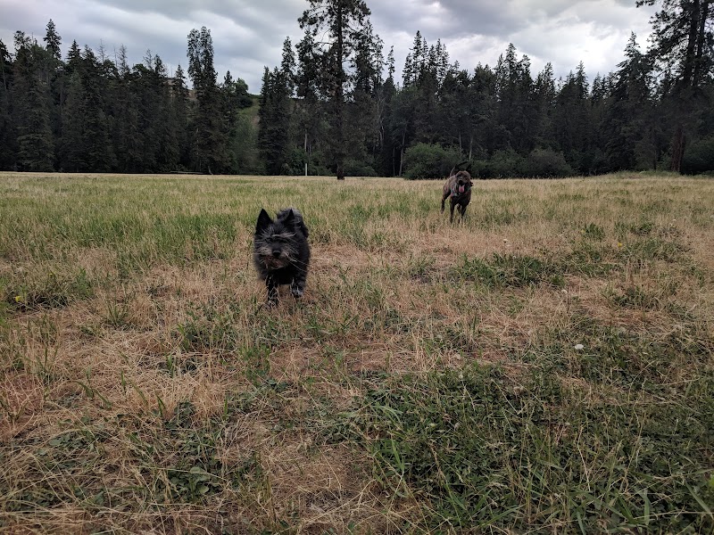 BX Ranch Dog Park dog park