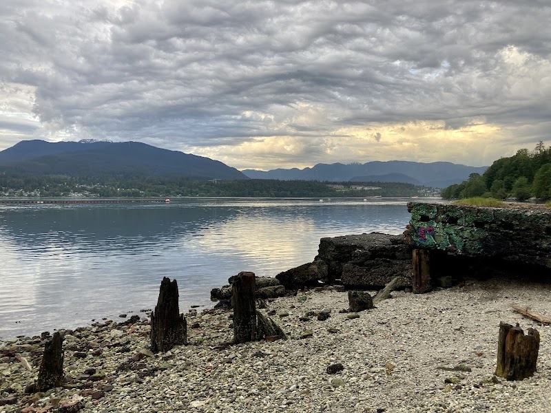 Confederation Park dog park