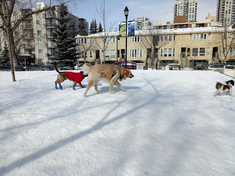 Connaught Off-Leash Dog Park - fenced in dog park