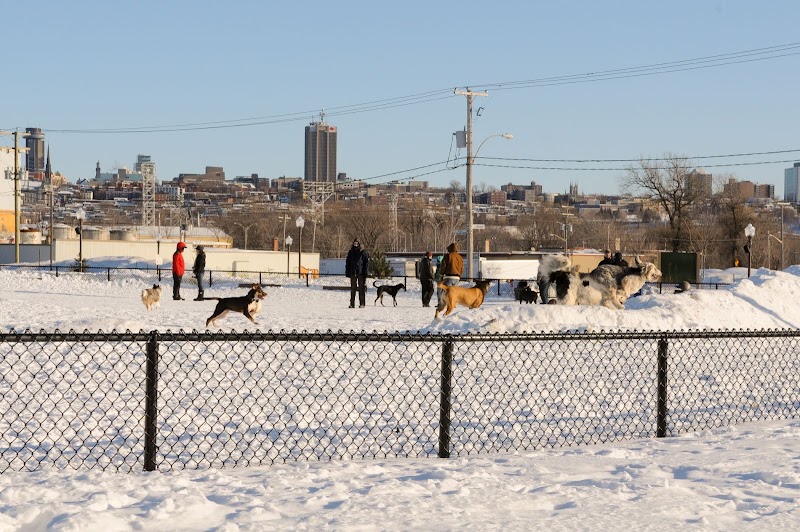 Dog Park Pointe-aux-Lievres dog park