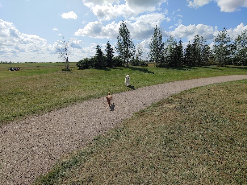 Oxbows Off Leash Dog Park dog park