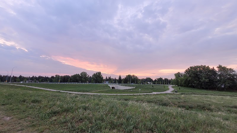Bob's Bench offleash dog park