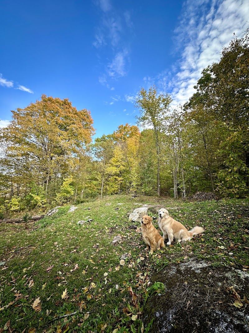 Finnobi Forest - Private Dog Park dog park