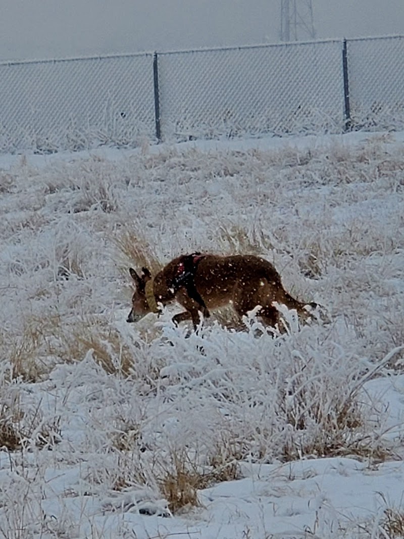 Okotoks Off Leash Dog Park dog park