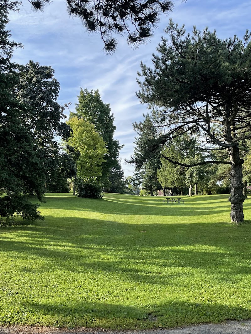 Thomson Memorial Park Dogs Off-Leash Area dog park