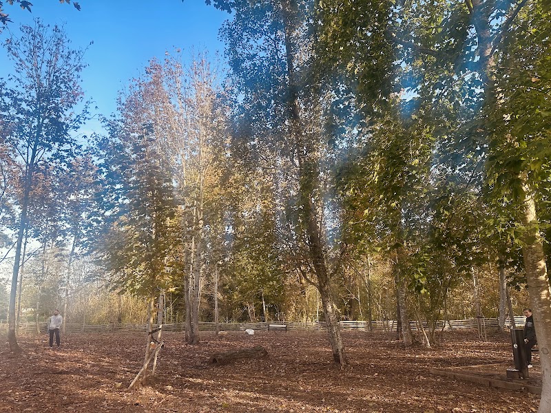 Mackie Off-Leash Dog Park dog park