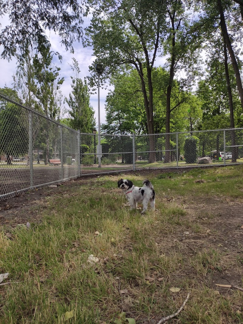 Angrignon dog park dog park