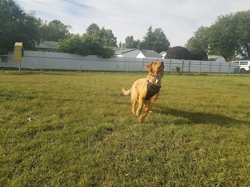 Lions Memorial Community Park dog park