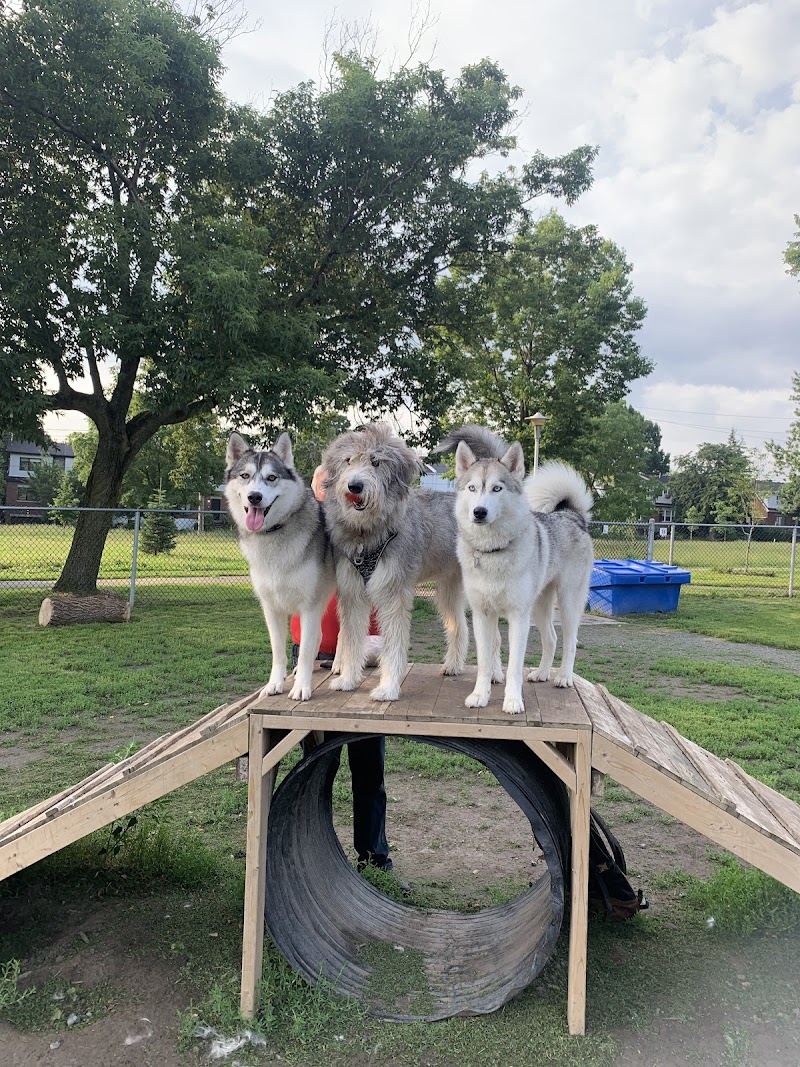 Louisianne dog park dog park