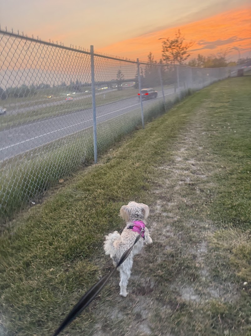 Pineridge Off Leash Dog Park/Walkway dog park