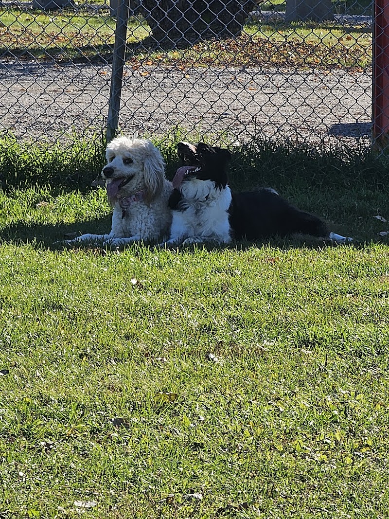 Azilda Dog Park dog park