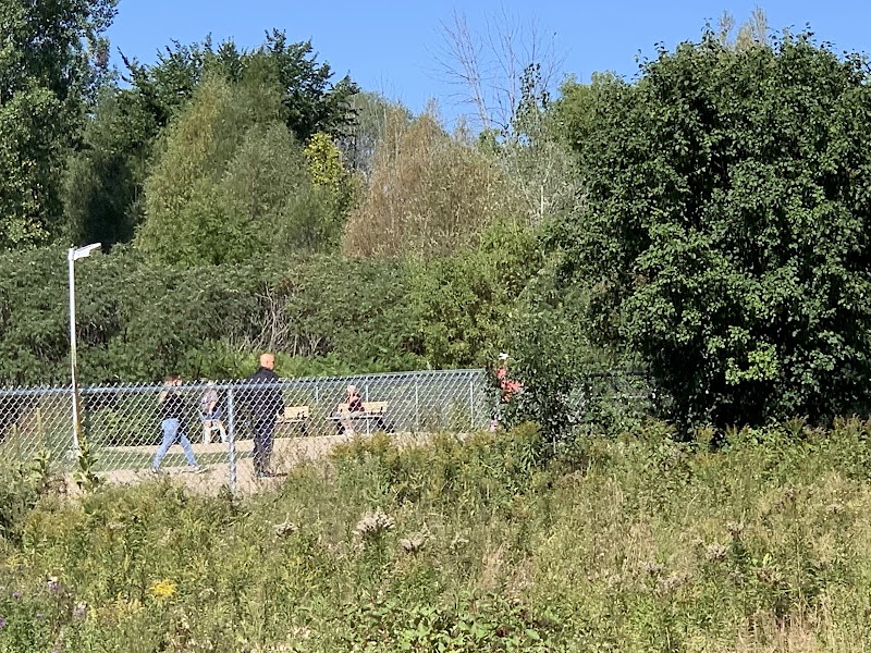 Parc a Chien Allen dog park