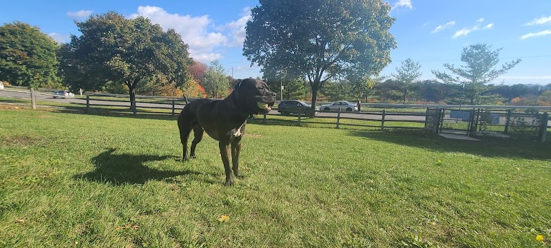 Linkwood Lane Dog Park dog park