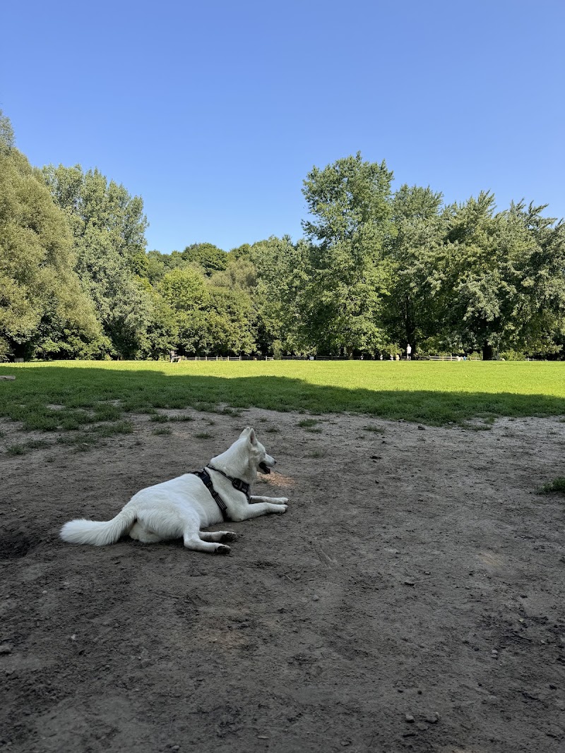 Sunnybrook Dog Park dog park
