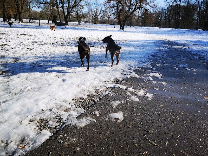 Niagara Falls Dog Park dog park