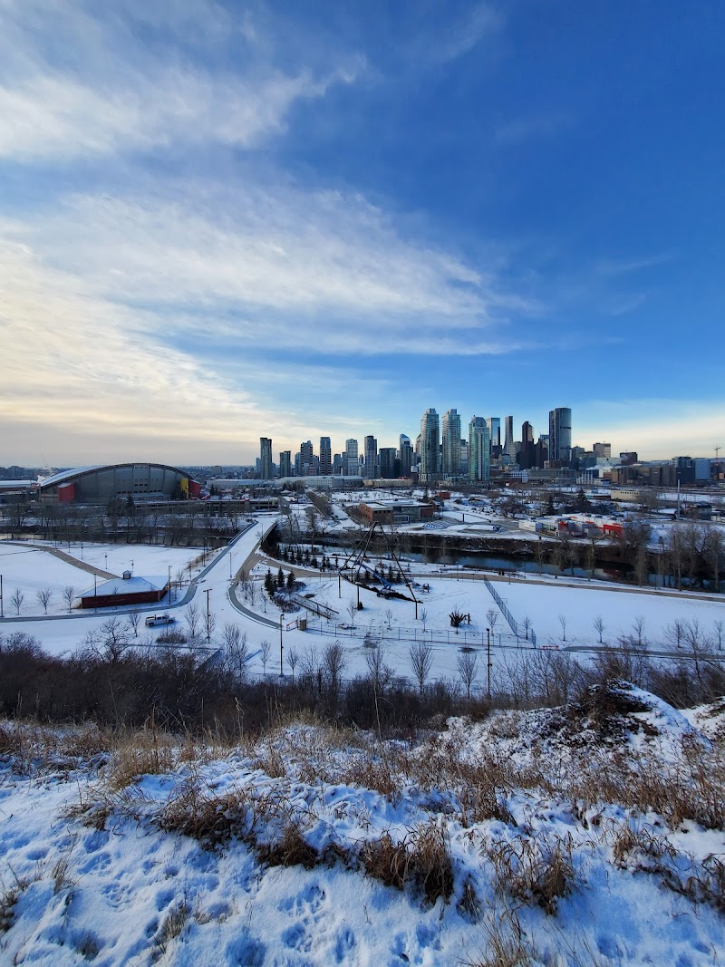 Scotsman's Hill Off Leash Dog Park dog park