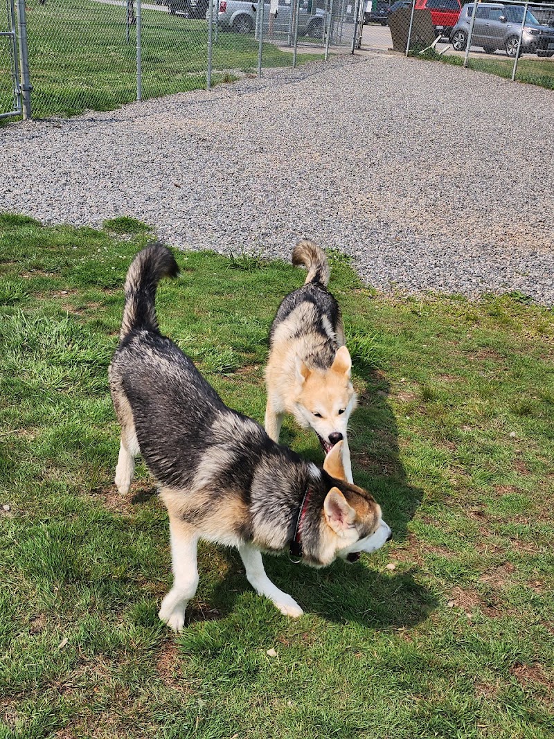 Bracebridge Dog Park dog park