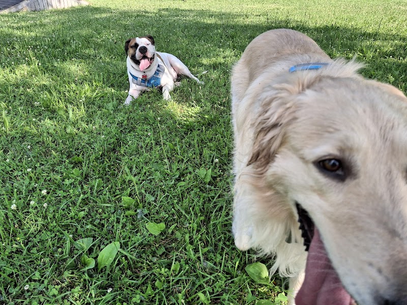 Wallaceburg Happy Tails Dog Off Leash Park dog park