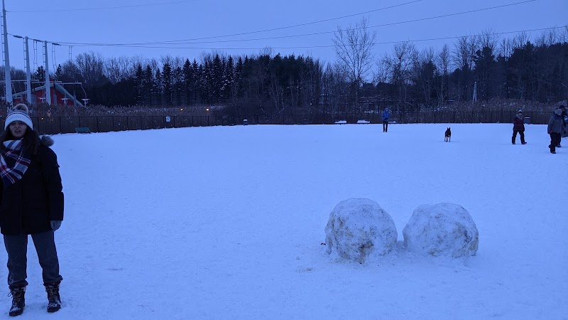 Canine Park dog park