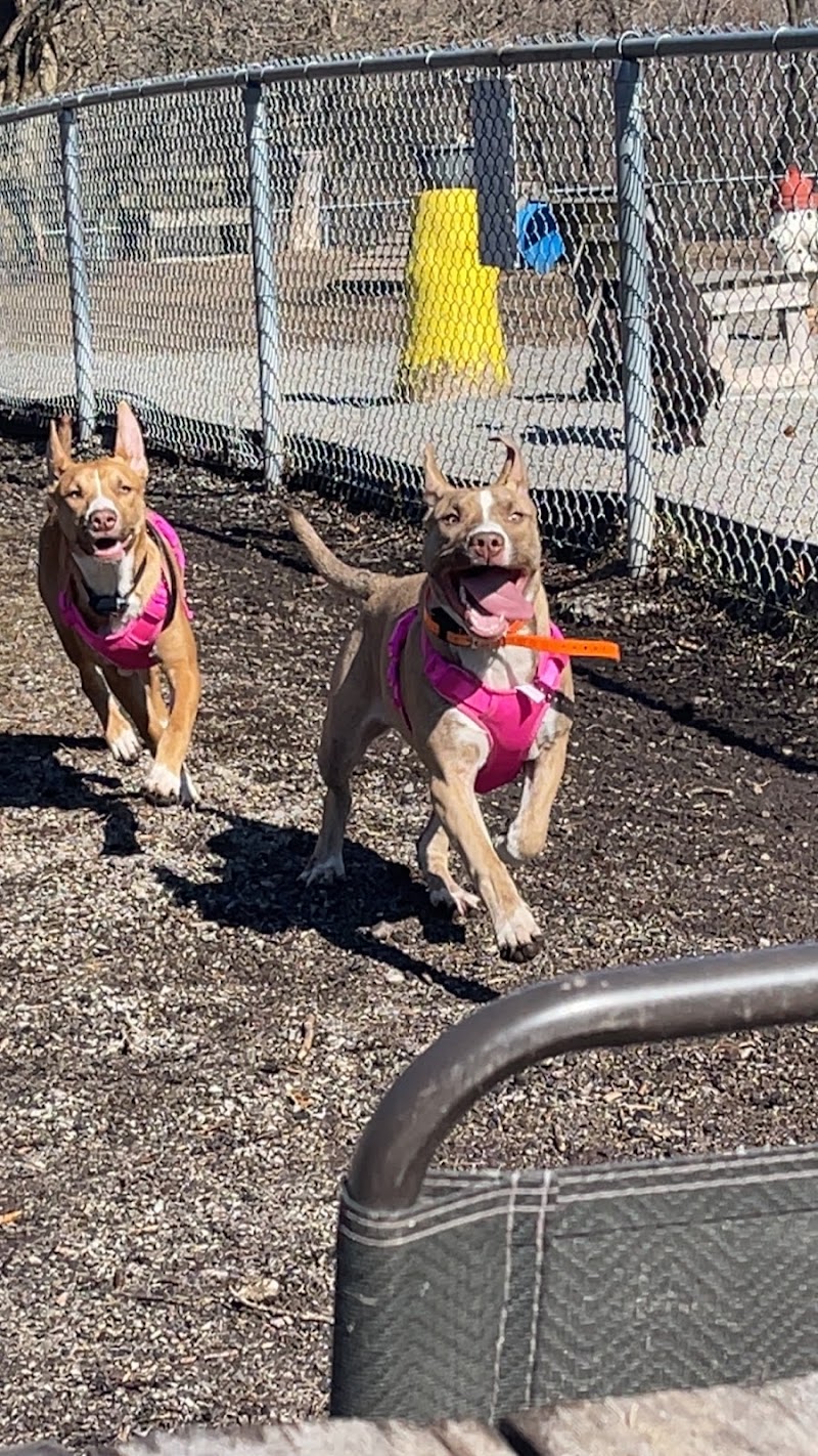 Brockville Dog Park dog park