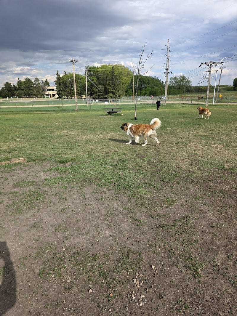 Devon Dog Park dog park