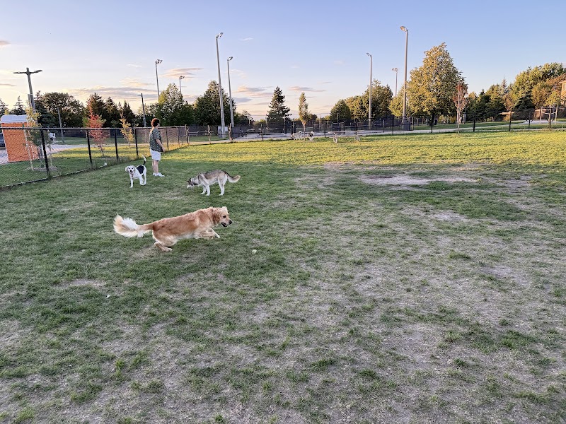 Giovanni Caboto Park Off Leash Dog Park dog park