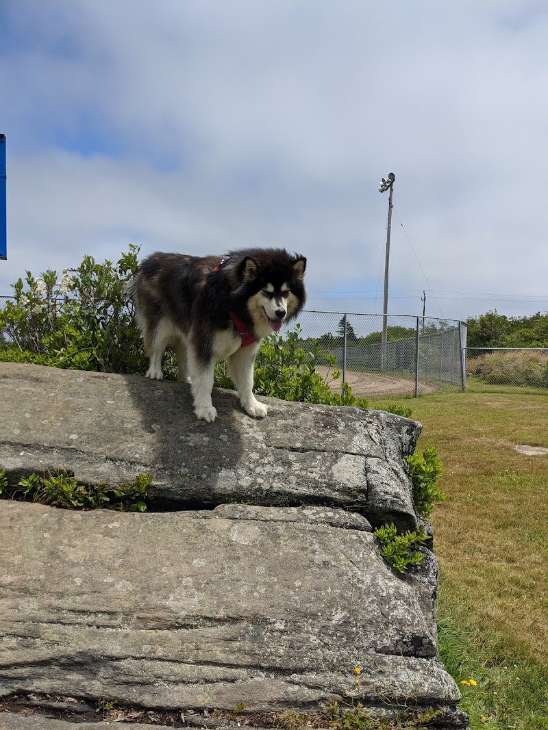 Yarmouth Dog Park dog park