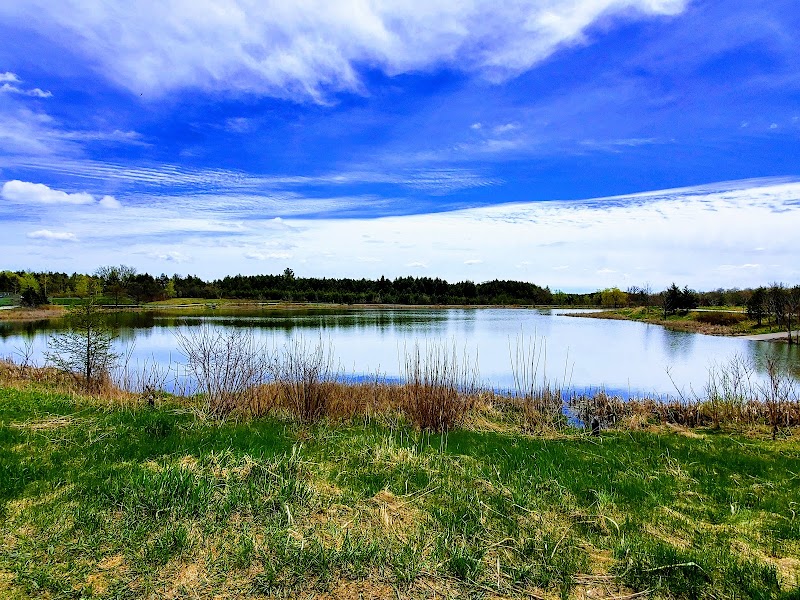 RougeView Dog Park dog park