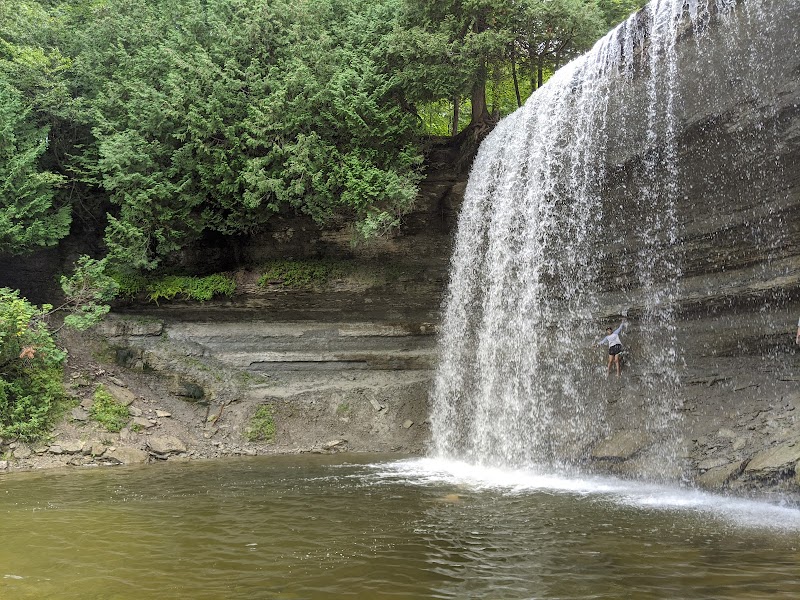 Kagawong Park Centre dog park