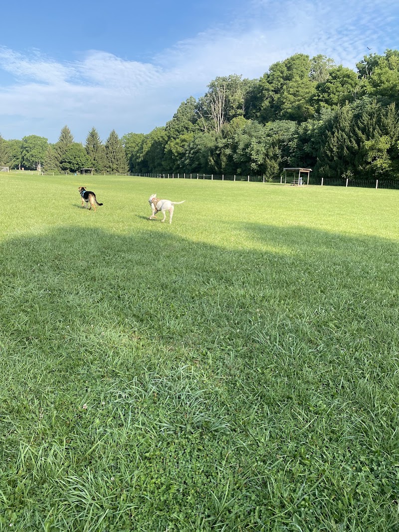 Kettle Creek Dog Park dog park