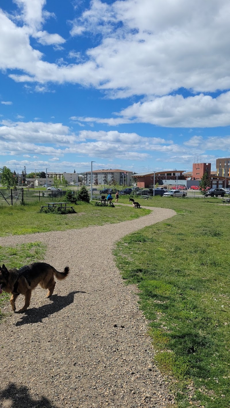 Fort St John Off Leash Dog Park dog park
