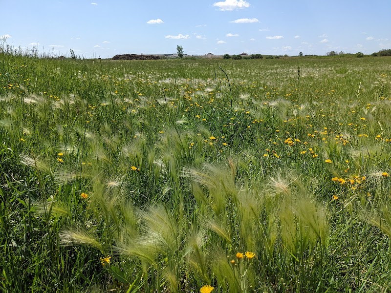 Martensville Offleash Dog Park dog park