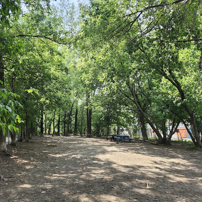 Rosemont dog park dog park