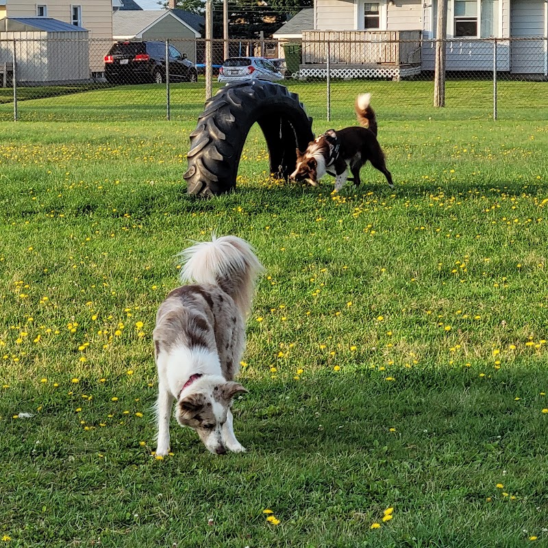 Slemon Bark - Off Leash Dog Park dog park