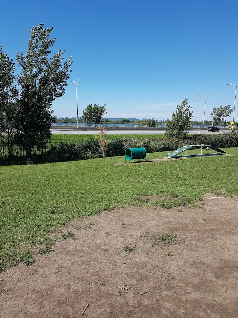 Parc récréatif canin dog park