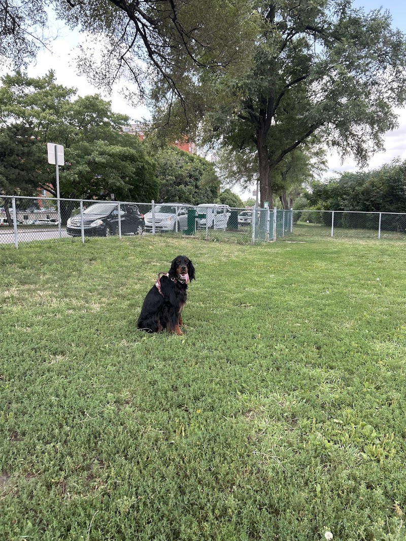 Crépeau dog park dog park