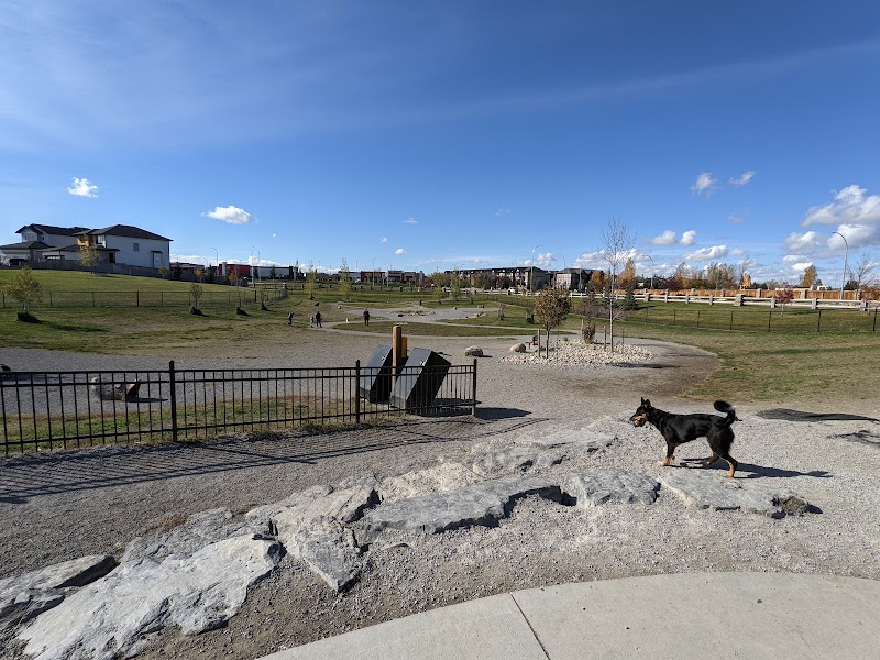 RiverStone Dog Park dog park
