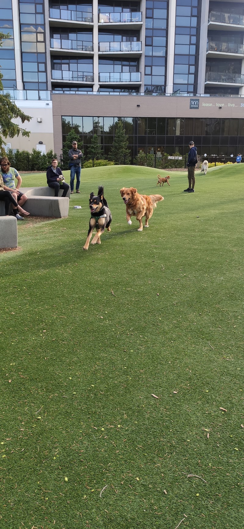 Bonnycastle Dog Park dog park