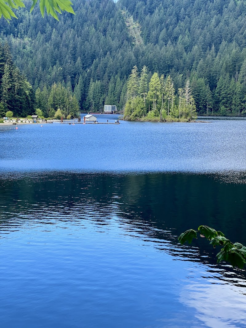 Buntzen Lake off-leash dog beach dog park