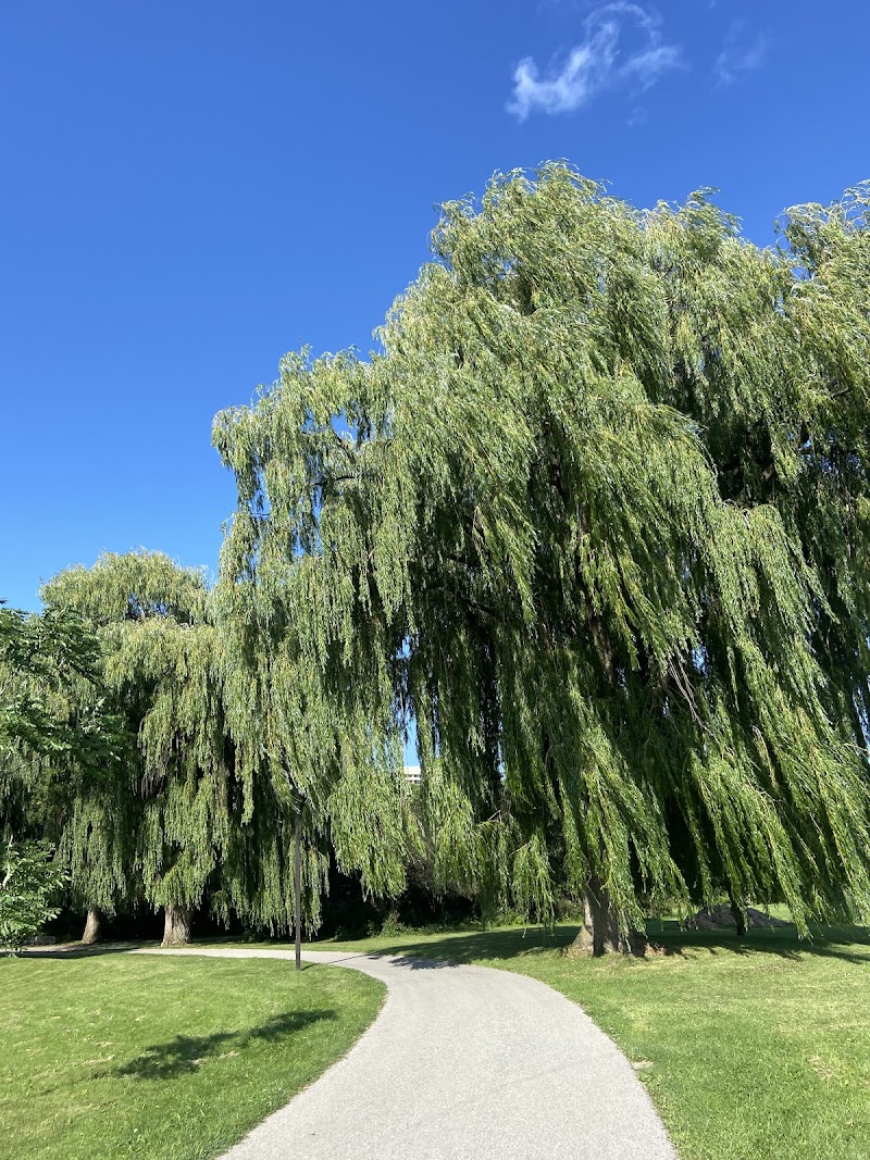 Garnetwood Park dog park